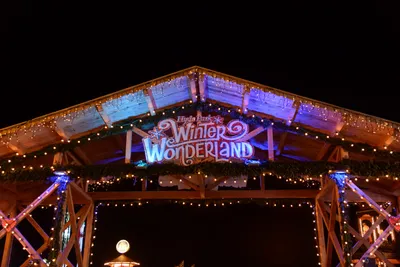 DSC_5562 (Large).JPG